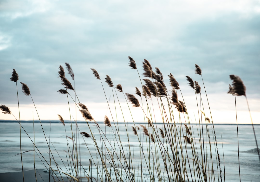 Photo cold wind