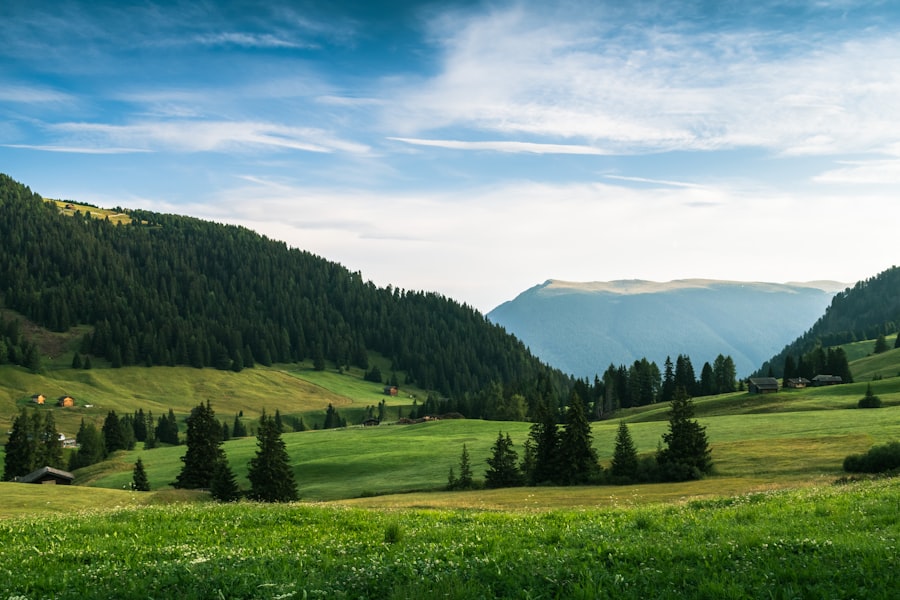 Photo vreuna