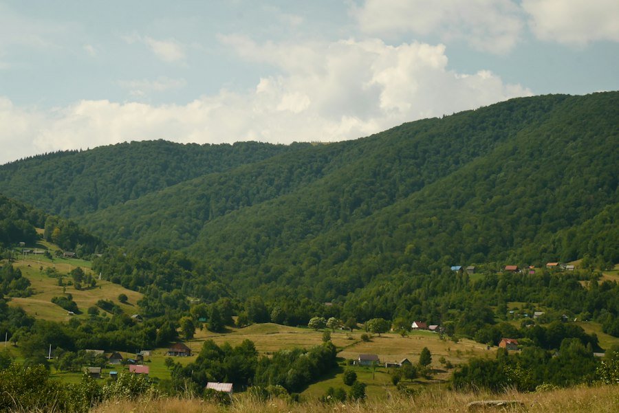 arta afișului